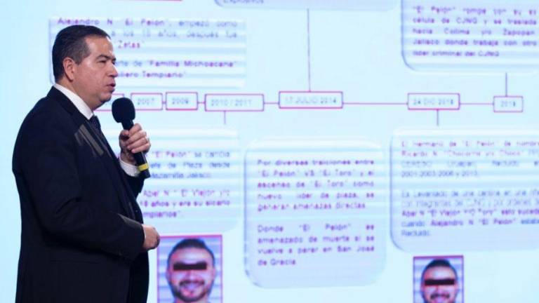 Ricardo Mejía Berdeja.