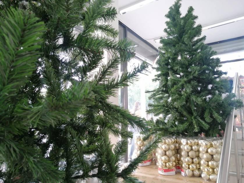 $!¿Cuándo quitar el pino navideño y qué hacer al retirarlo?