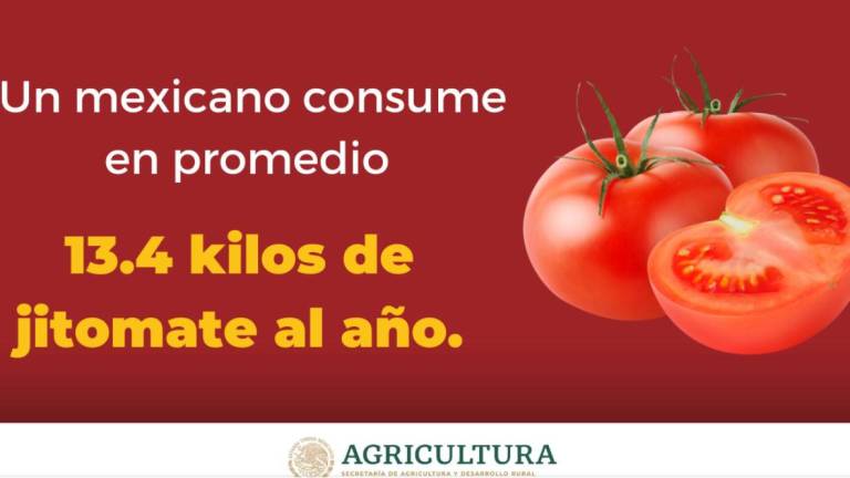 Impulsan investigación y mejoramiento del tomate