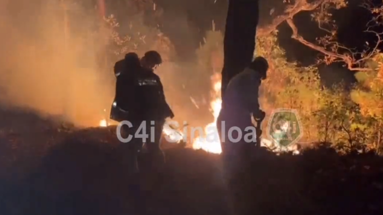 El incendio se registra cerca del poblado Loberas, en Concordia, Sinaloa.