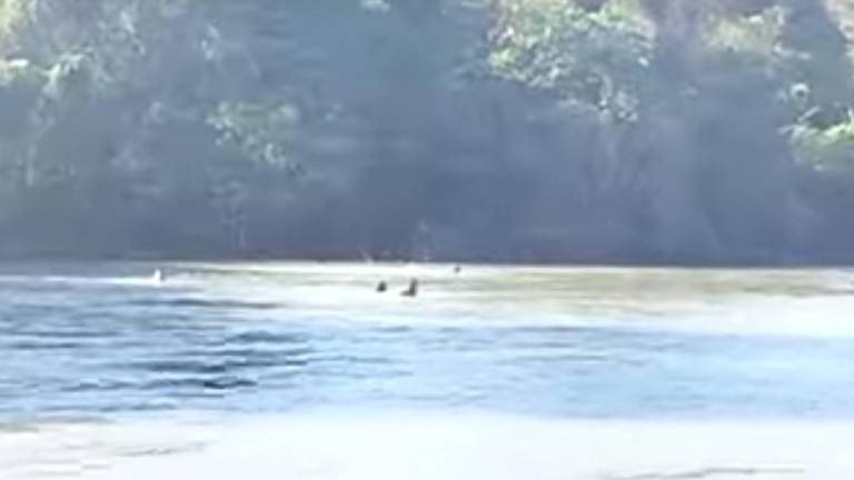 El socorrista se introdujo en las aguas del río para rescatar al bañista.