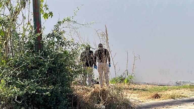 El cuerpo del hombre asesinado fue hallado entre la avenida Tachichilte y la calle Del Espíritu Santo, del fraccionamiento Isla Musalá, en Culiacán.
