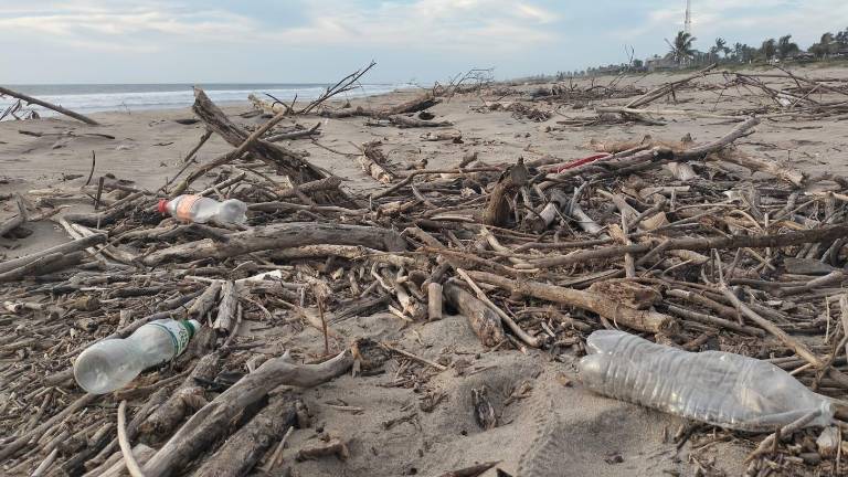 La zona de restaurantes es donde se ha registrado la mayor presencia de basura, lo cual aseguran afecta la imagen.