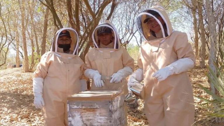 Amelia Chan Díaz (derecha), su hermana Gabriela y su compañera Francisca Zavala Hernández realizando manejo de colmenas.