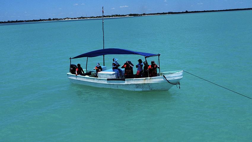 $!Las mujeres se han convertido en la cara visible de la protección de los recursos marinos.