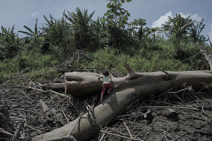 $!“The land flew away” (La tierra se fue volando) - Femgrafía.