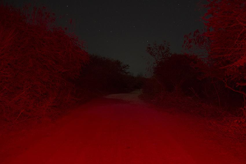 $!“No hay espacio para los débiles” - Femgrafía.