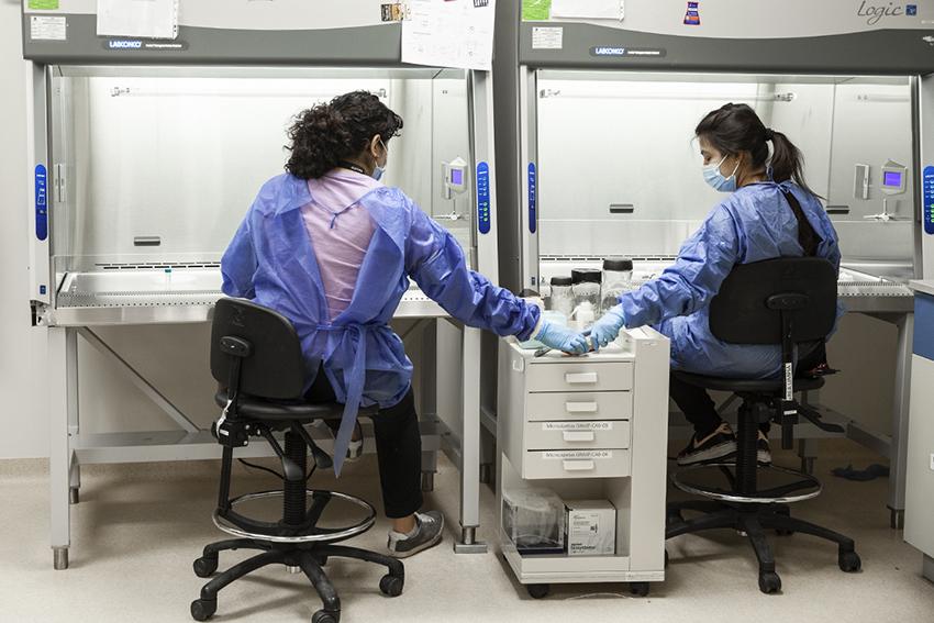 $!Para localizar nuevas cepas y variantes la unidad de investigación del INDRE debe hacer secuencias genéticas de muchas pruebas provenientes de diferentes personas enfermas con el virus SARS-CoV-2.