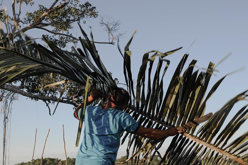 $!“The land flew away” (La tierra se fue volando) - Femgrafía.