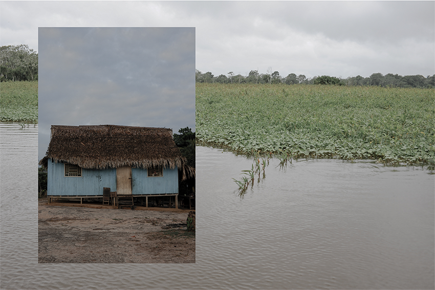 $!“The land flew away” (La tierra se fue volando) - Femgrafía.
