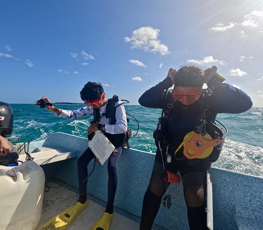 $!Son 10 mujeres en Río Lagartos, Celestún y San Felipe las que realizan monitoreos para evaluar los niveles de conservación mar adentro.