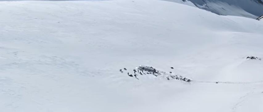 $!Realidad extremadamente sorprendente: 5 producciones donde la verdad desafía a la ficción