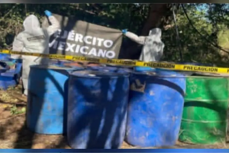 Los hallazgos y decomisos se efectuaron en distintos puntos de los municipios de Culiacán, Cosalá y Mocorito.