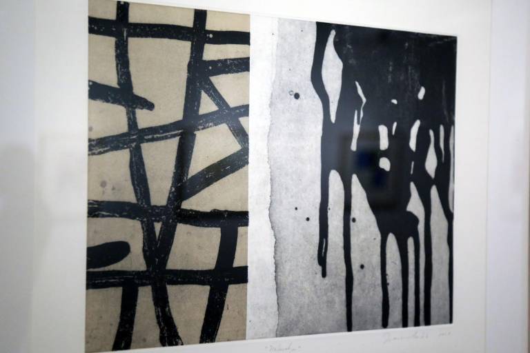 Abre en el Masin nueva exposición del maestro Francisco Castro Leñero