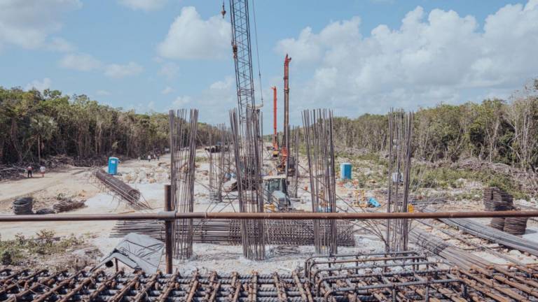 Organizaciones denuncian que obras del Tren Maya han deforestado hasta el momento 6,659 hectáreas
