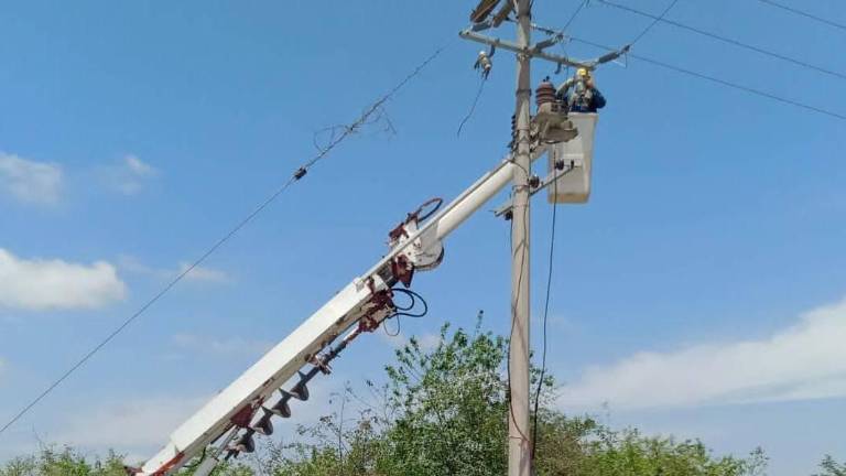 Personal de la CFE durante trabajos de mantenimiento a la red eléctrica.