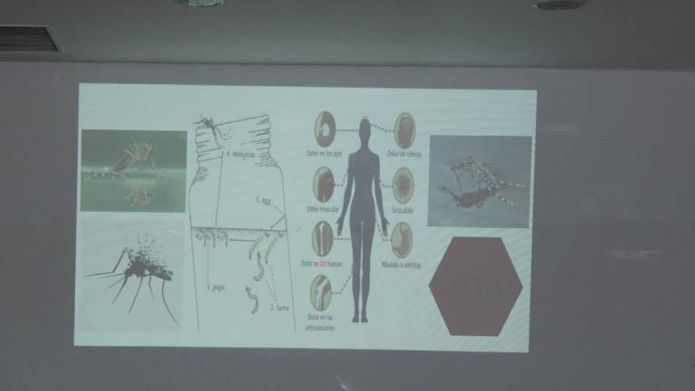 Mosco transmisor de dengue se ha adaptado a bajas temperaturas: epidemiólogo