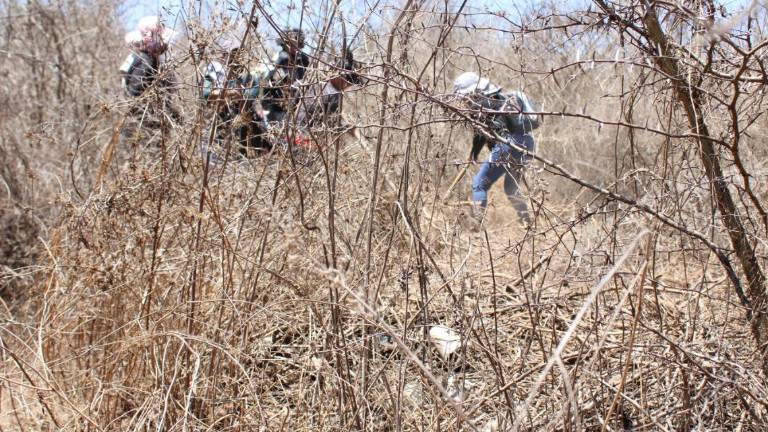 Este año Tesoros Perdidos Hasta Encontrarlos y la Comisión Estatal de Búsqueda lograron localizar dos cuerpos en la zona de marismas.