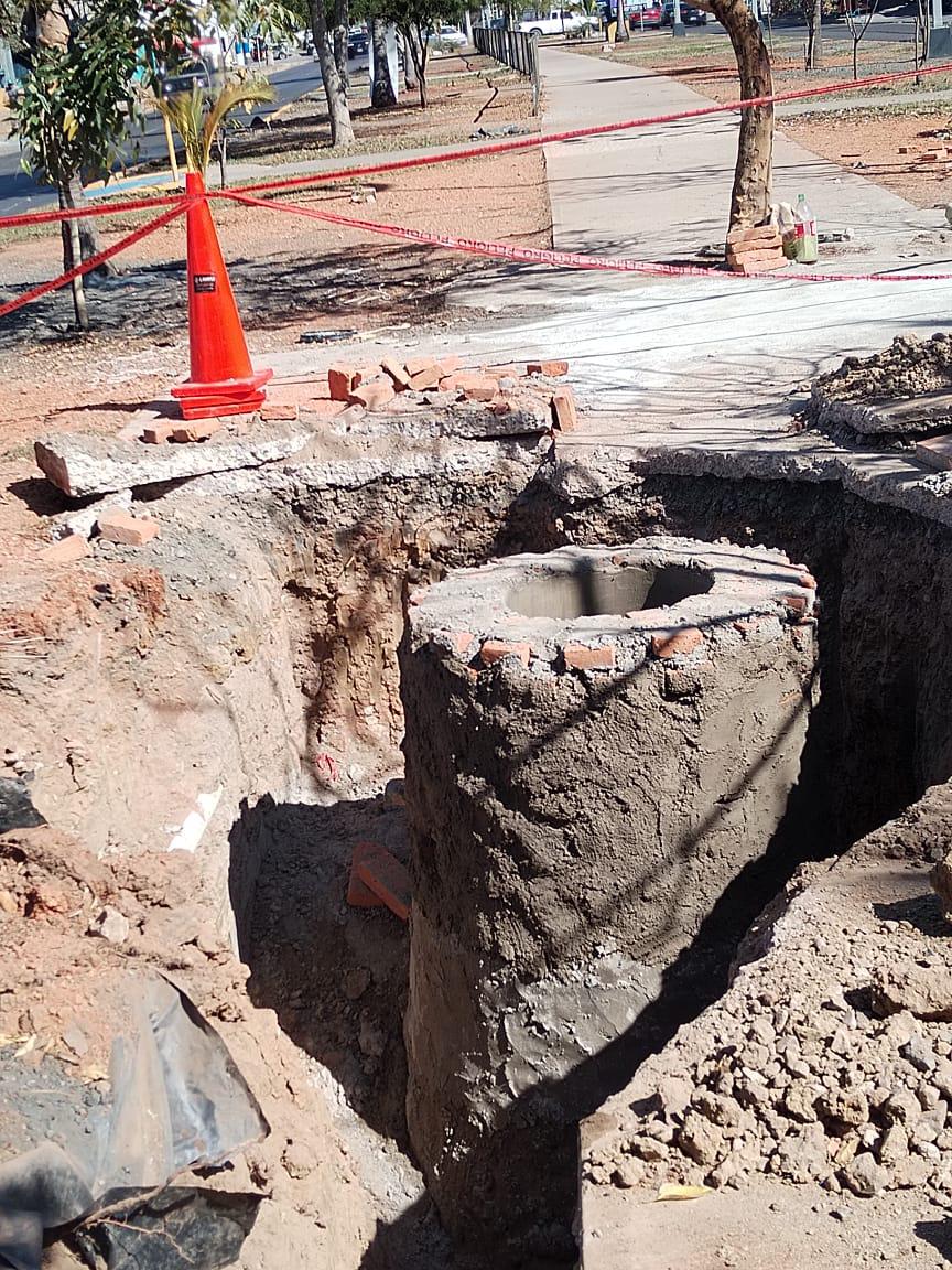 $!Denuncia Cemaz posible tala de 20 árboles por obra de Jumapam en Mazatlán