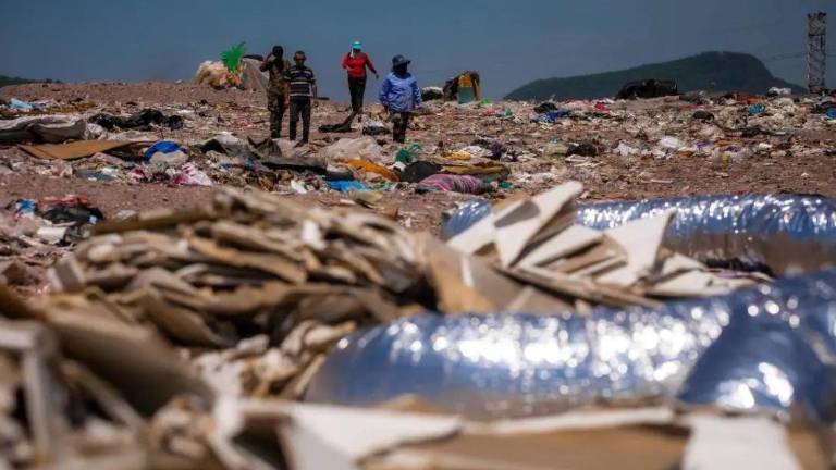 En Sinaloa se generan aproximadamente 3 mil 300 toneladas de basura al día, advirtió la Alianza Ambientalista Sinaloense.