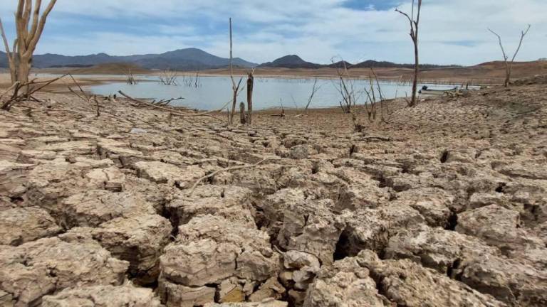 Pese a lluvias, presas de Sinaloa permanecen por debajo del 13% del nivel de almacenamiento