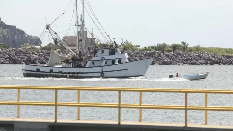 La pesca de camarón en altamar 2025-2026 inició el pasado 29 de septiembre.