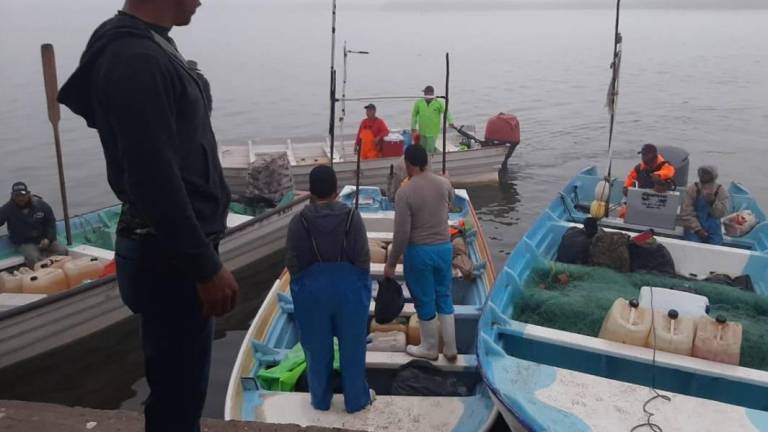 De acuerdo con la Secretaria de Pesca, a nivel nacional Sinaloa se encuentra en el décimo de efectividad contra la pesca furtiva