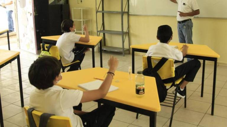 Estudiantes de 10 a 15 años participaron en un estudio para evaluar los resultados de la educación a distancia.