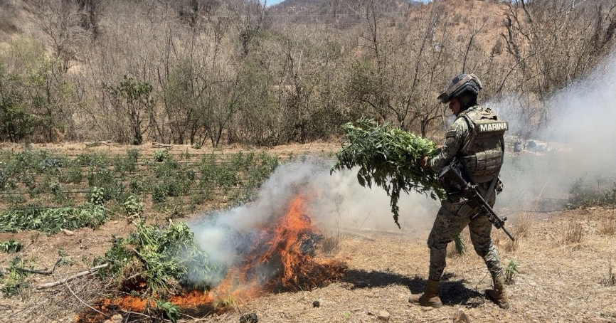 $!Fuerzas federales desmantelan laboratorios, recuperan vehículos y decomisan arsenal, en Culiacán
