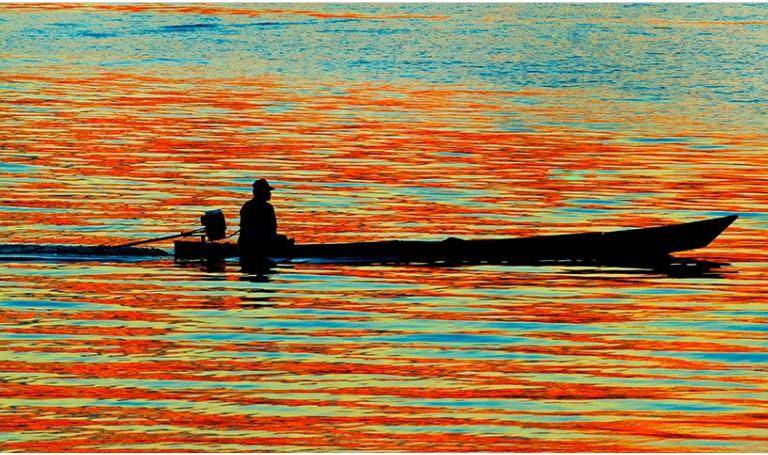 Los derechos humanos deben estar en el centro del nuevo marco para la biodiversidad, según los expertos