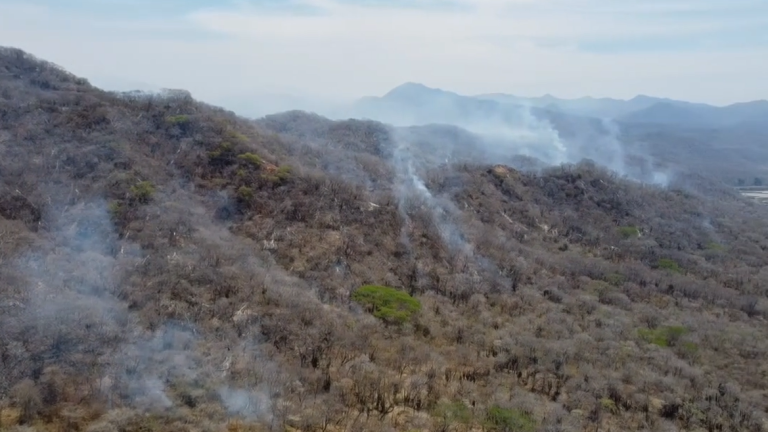 Dice Alcalde que no pueden subir vehículos a zona de incendio forestal al norte de Mazatlán