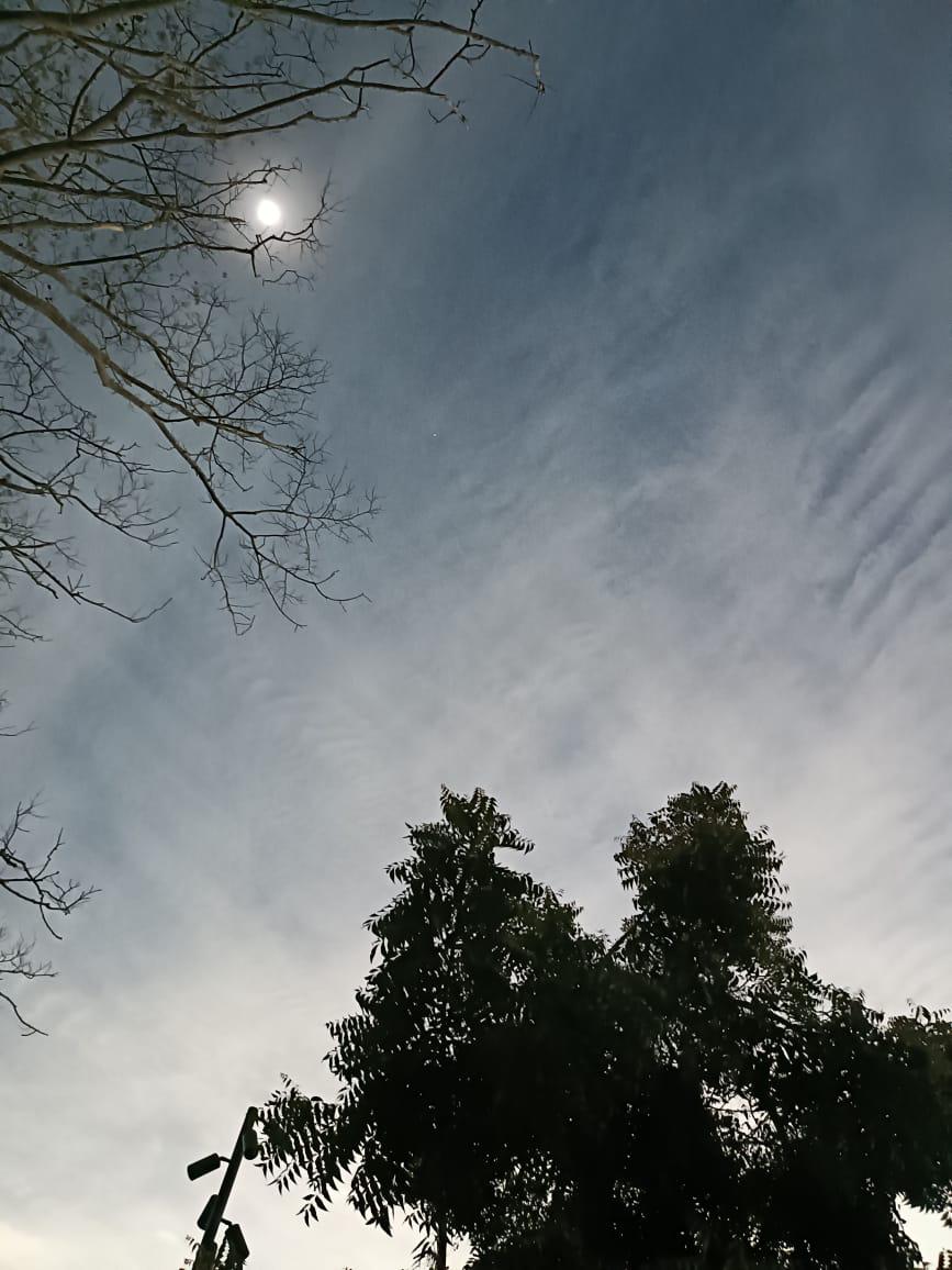 $!Abre Gran Acuario Mazatlán sus puertas a más de 7 mil exploradores para el Eclipse Total de Sol