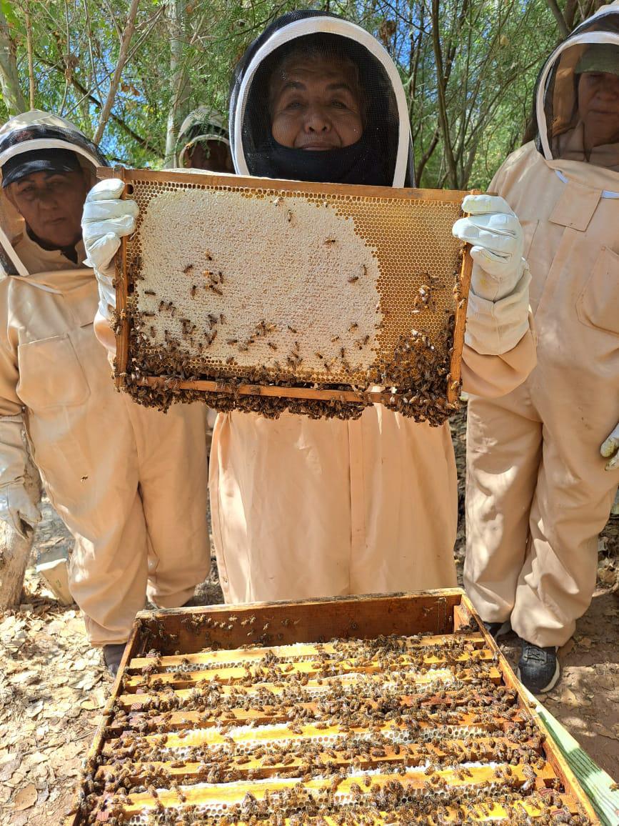 $!Revivir al Río Colorado: utilizan abejas y agua para restaurar el delta que unía a Estados Unidos con México
