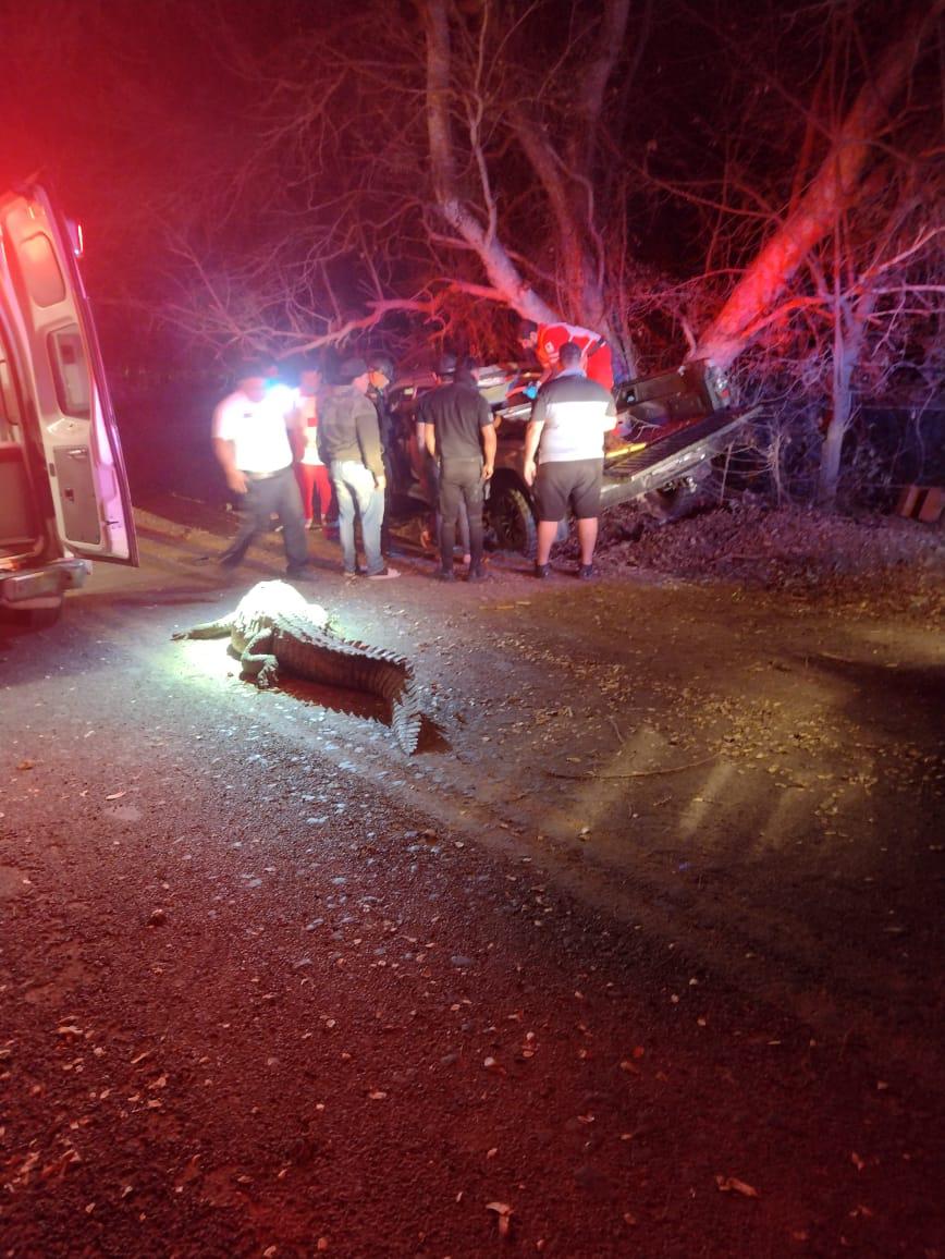 $!Chocan contra cocodrilo y mueren 4 personas, entre ellos una menor, en Culiacán