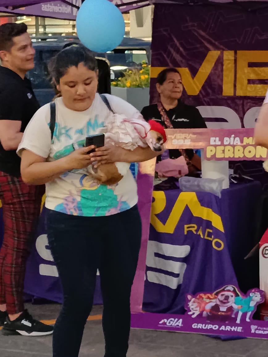 $!Participan ‘lomitos’ disfrazados en concurso y desfile de modas, en Mazatlán