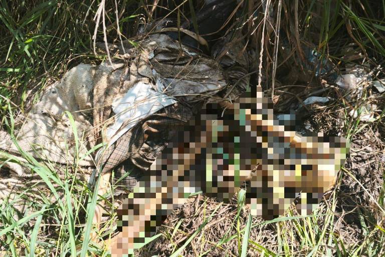 Localizan osamenta durante búsqueda en Campo Canán, Culiacán