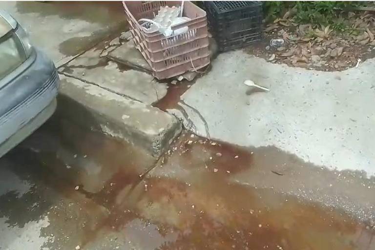 Denuncian vecinos desbordamiento de agua con presunta sangre en la zona del rastro municipal de Rosario