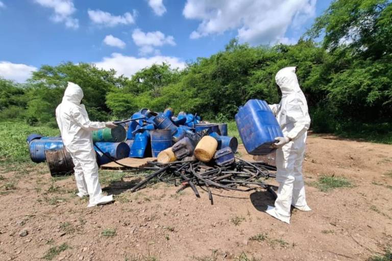 Aseguran y destruyen más de 75 mil litros de droga en Culiacán y Cosalá