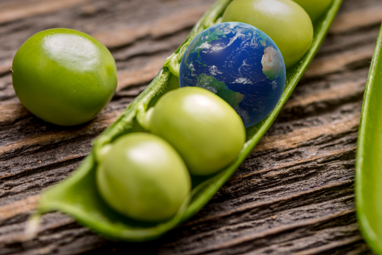 Cambios en la producción agrícola y alimentaria pueden reducir las emisiones de efecto invernadero en un tercio: Banco Mundial