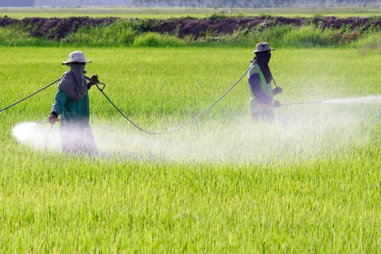 El glifosato no es cancerígeno, de acuerdo con una Agencia de la Unión Europea