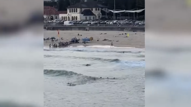 El ataque armado ocurrido durante una celebración de Janucá, en la playa de Bondi, dejó múltiples víctimas.