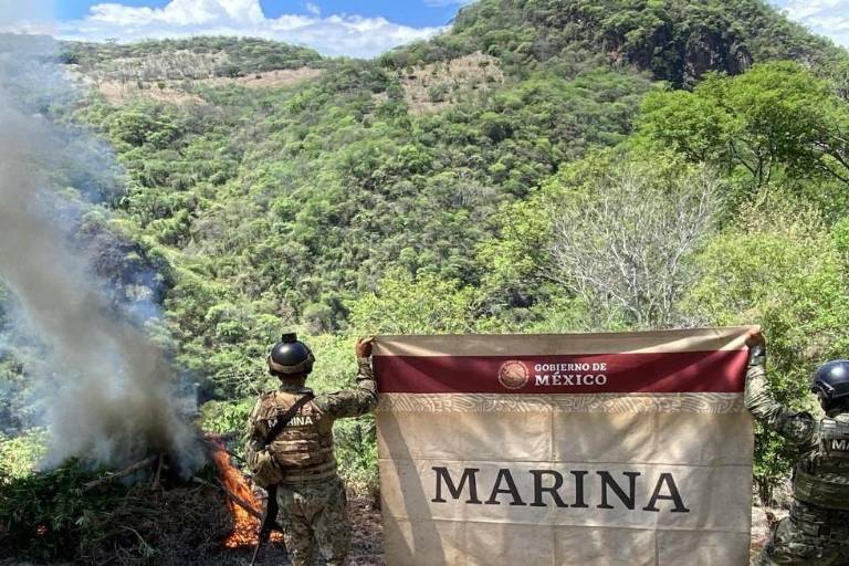 Destruye la Marina 186 plantíos de amapola y 24 de mariguana en Nayarit