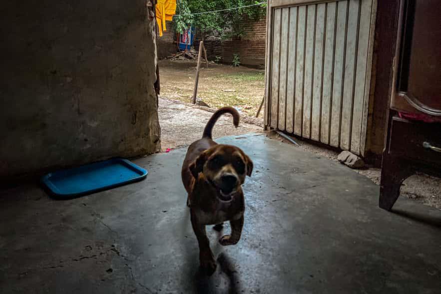 $!La tragedia de María Félix y la vida después de una inundación