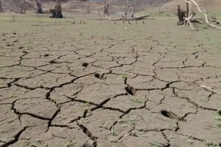 Sequía pega al 41% de México; proponen captar lluvia en todo el país