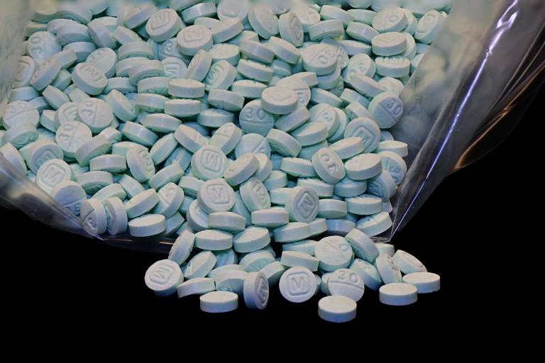 ‘Los Mayos’ proveen fentanilo ilícito al Cártel del Noreste, para traficar en EU, revela la DEA