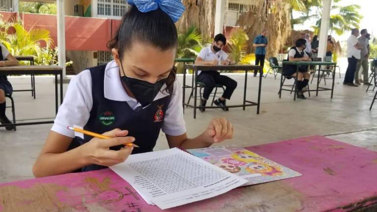 Los Centros Comunitarios de Aprendizaje comenzaron a funcionar el 26 de abril por disposición estatal.