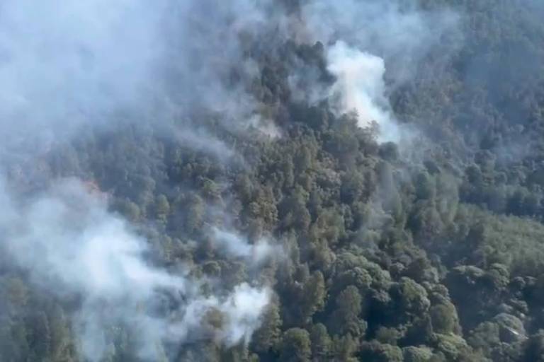 Incendio en Senguio, Michoacán, afecta a santuario de la mariposa monarca; controlan fuego en un 50%