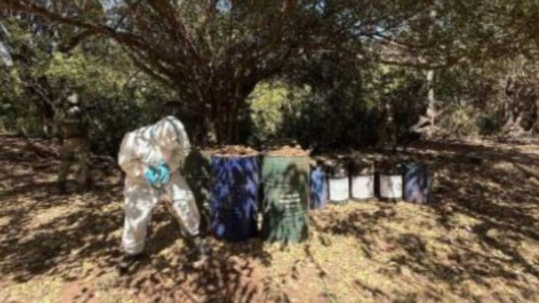 Autoridades reportan que localizaron e inhabilitaron 14 laboratorios de drogas sintéticas en Sinaloa.