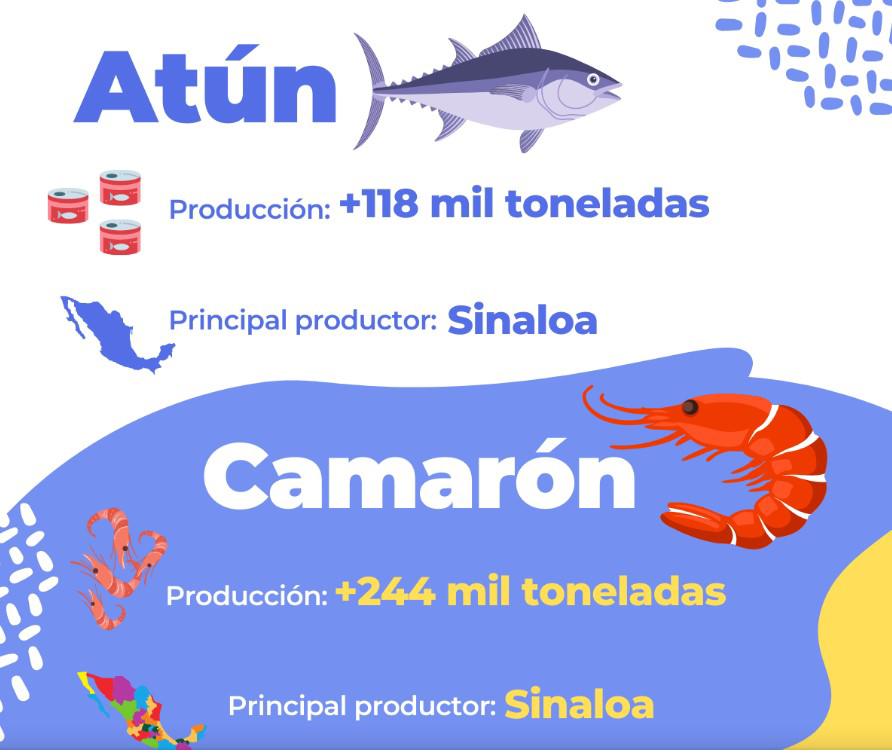 $!Aseguran abasto de pescados y mariscos para Semana Santa en todo el país