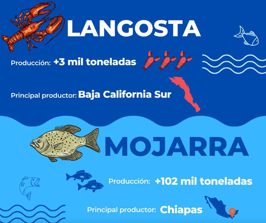 $!Aseguran abasto de pescados y mariscos para Semana Santa en todo el país